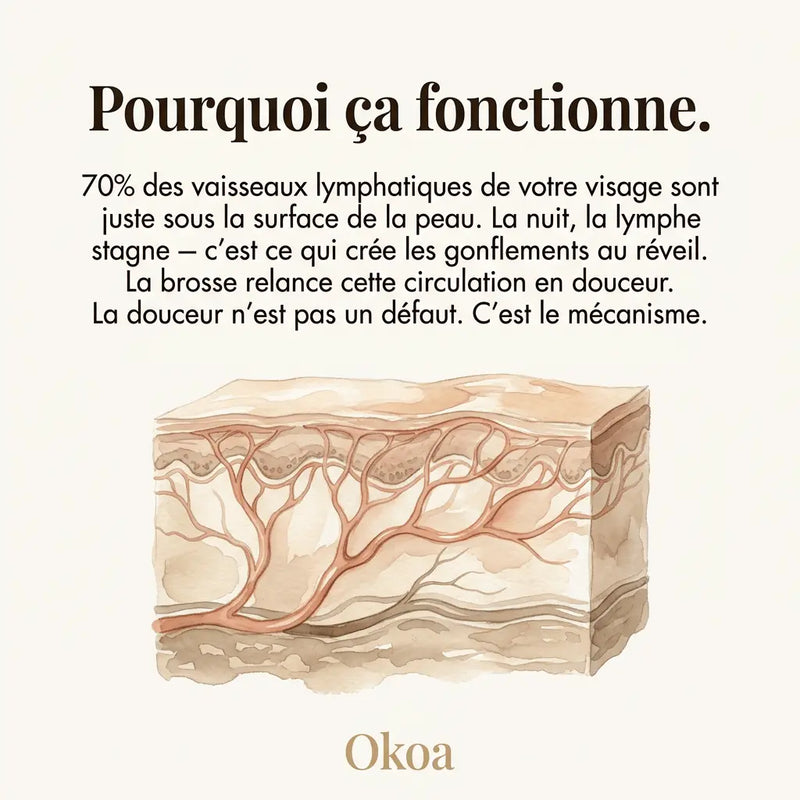 La Brosse Qui Dégonfle Votre Visage En 3 Minutes